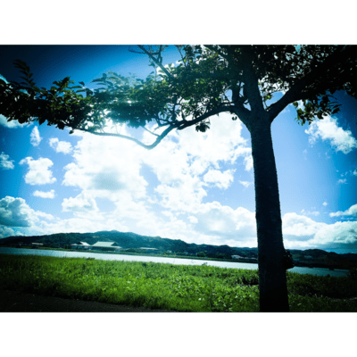 Find my road (J-POP)のジャケット写真