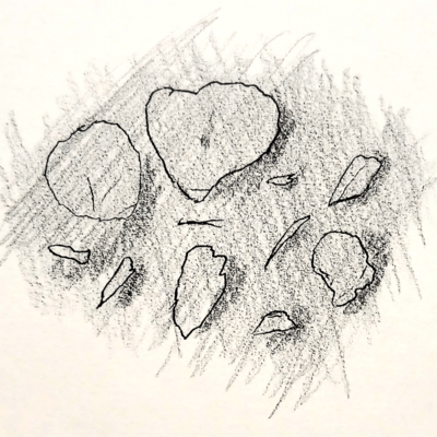 hanawatiru Front Cover