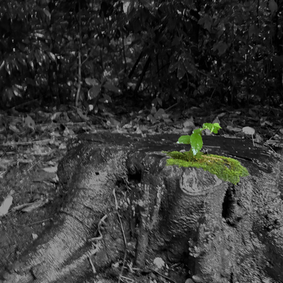 今どこのジャケット写真