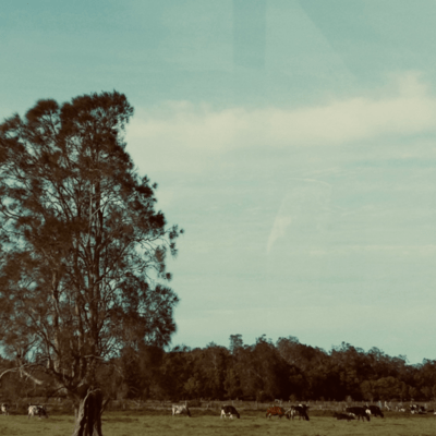 Dreamin'-075 Front Cover