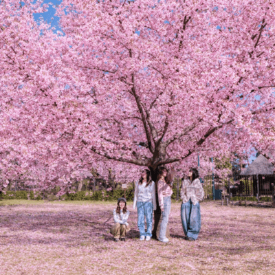 はじめまして東京のジャケット写真