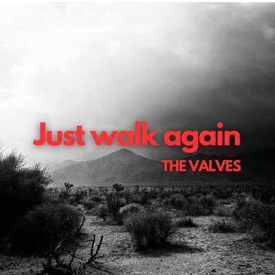 Just walk again Front Cover