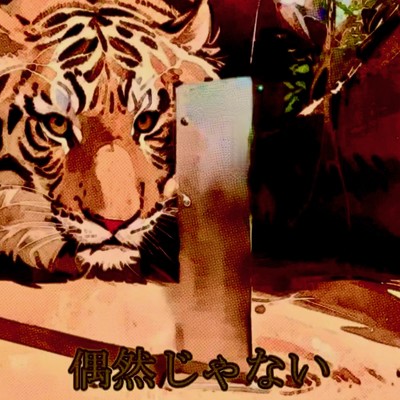 偶然じゃないのジャケット写真