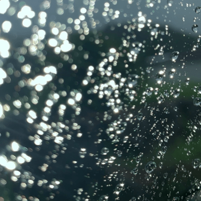 Light by the Window Front Cover