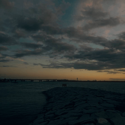 Last rally Front Cover