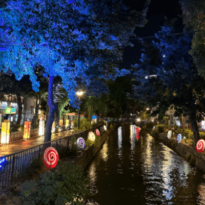 Whispers of the Heart Front Cover