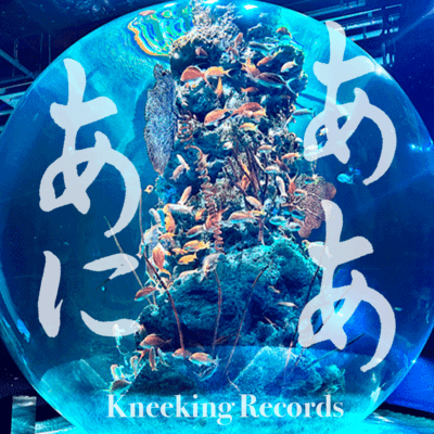 Aa Ani ~ The First Step Front Cover