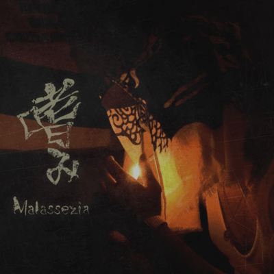 嗜みのジャケット写真
