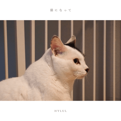 猫になってのジャケット写真