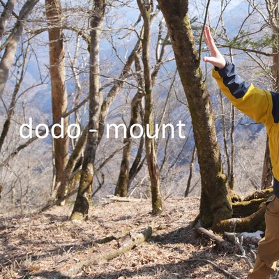 mountのジャケット写真