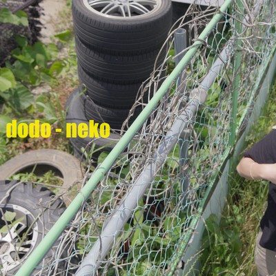 neko Front Cover