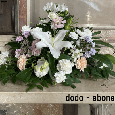 abone Front Cover