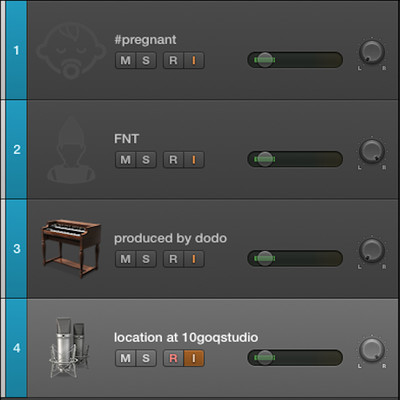 pregnant Front Cover