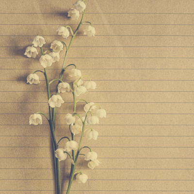 Too Short Letter Front Cover