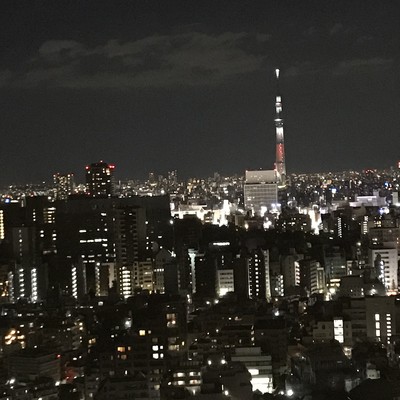 さよならの証のジャケット写真