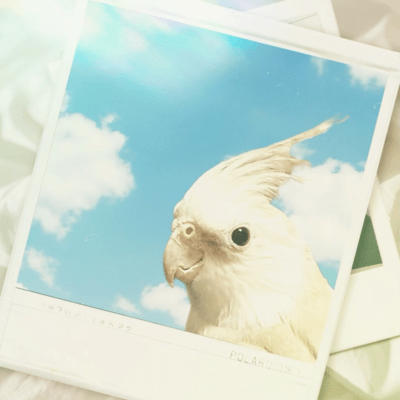 空が変わっていくようにのジャケット写真