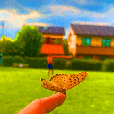 Hadashiのジャケット写真