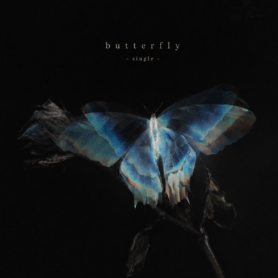 Butterfly Front Cover