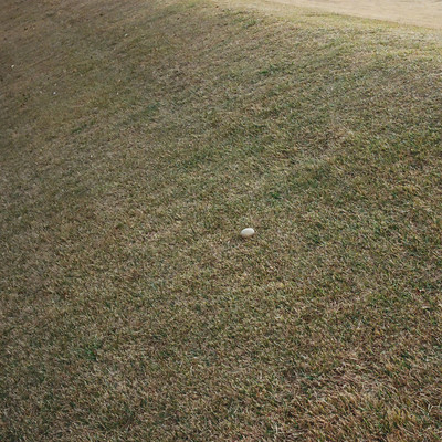 Kochia: 散文, 2026 Jan.のジャケット写真