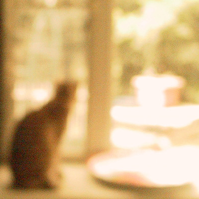 subtractive dreamingのジャケット写真