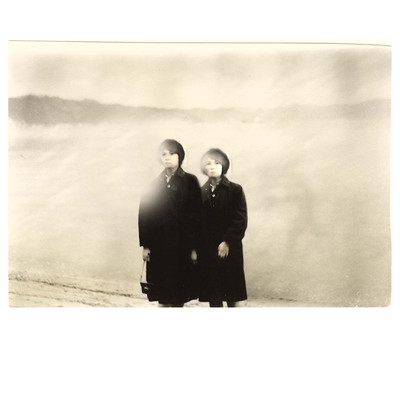 dark mornings colourless windowsのジャケット写真