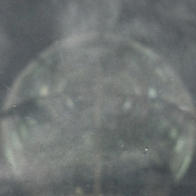 encipher Front Cover