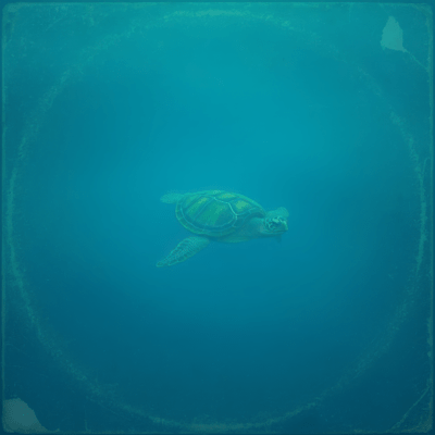 Coo - Zero Wind Front Cover