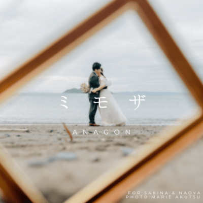 ミモザのジャケット写真