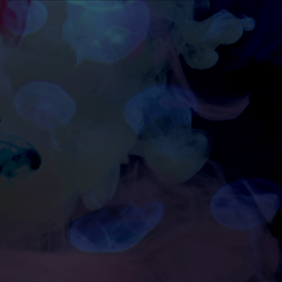 雨落拍子と小惑星のジャケット写真