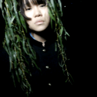 subservient spring Front Cover