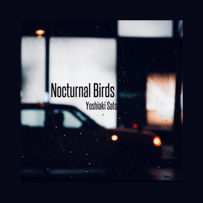 Nocturnal Birds Front Cover
