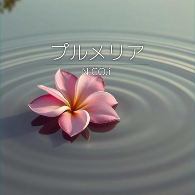 PLUMERIA Front Cover