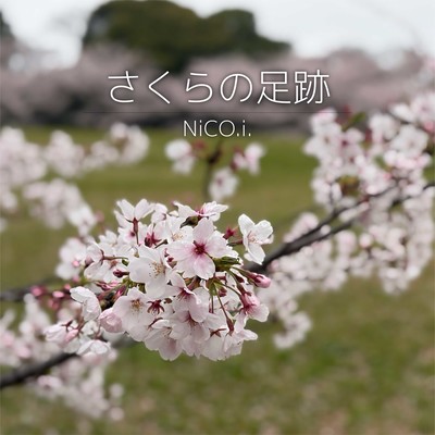 Footprints of Cherry Blossoms Front Cover
