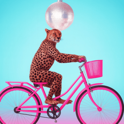 Strange Superstarのジャケット写真