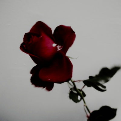 哀しみのエリーのジャケット写真