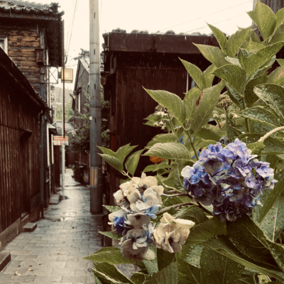 I woke up from a dream (feat. HATSUNE MIKU) Front Cover