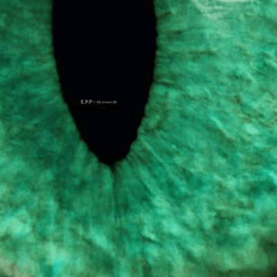 E.P.P- Front Cover