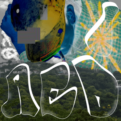 IDEA Front Cover