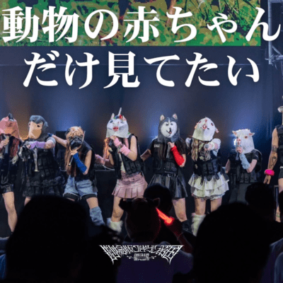 I want to keep watching animal youtube. Front Cover