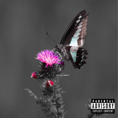 Acanthus.og Front Cover