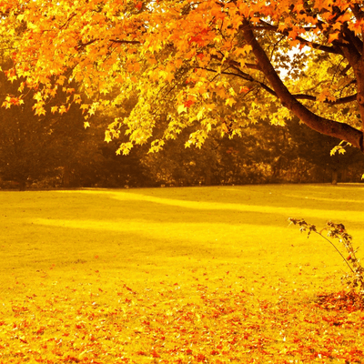 Autumn is the season for appetite, everyone gather together Front Cover