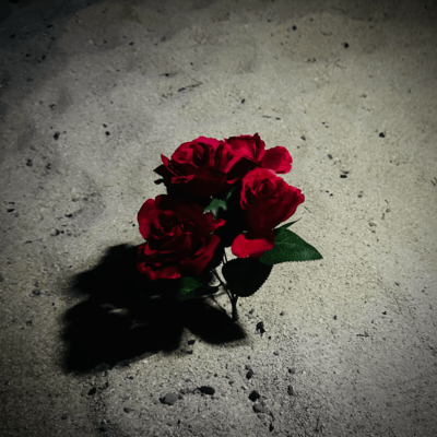 Rosetta (feat. SIGANA-P) Front Cover