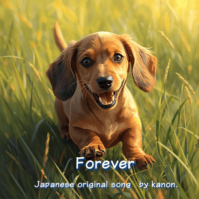 Forever Front Cover