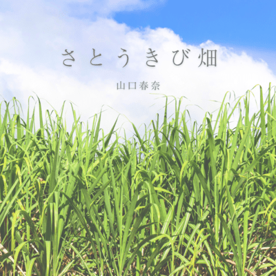 Sugarcane field Front Cover