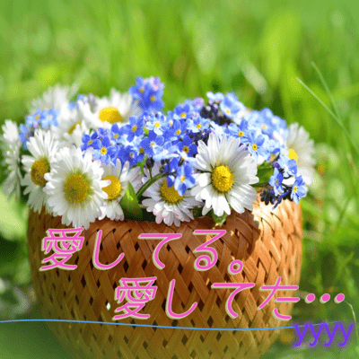 love you. I loved you... Front Cover