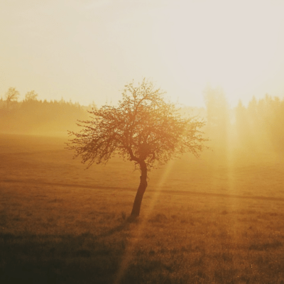 君の影のジャケット写真