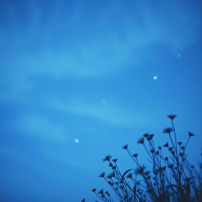 待ち続けるのジャケット写真