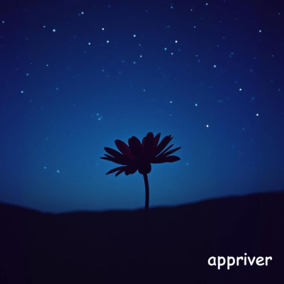 届かない・・のジャケット写真