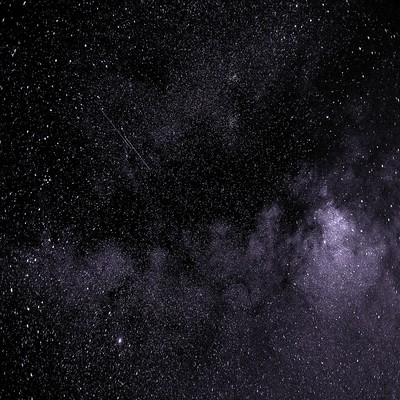 番いのジャケット写真