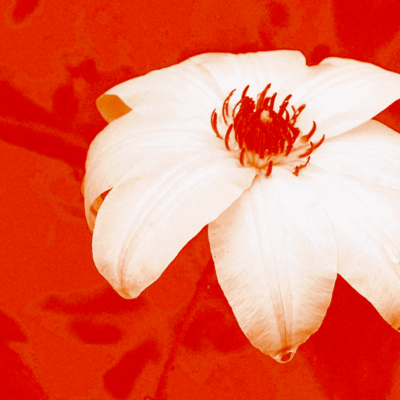 Hannya (Long Ver.) Front Cover